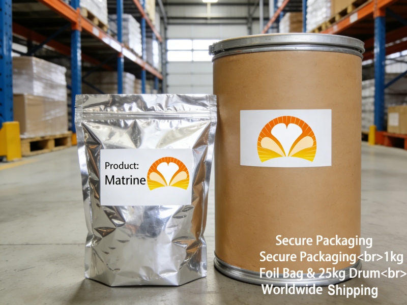 Secure Bulk Packaging for Matrine Extract Aluminum Foil Bag and Drum